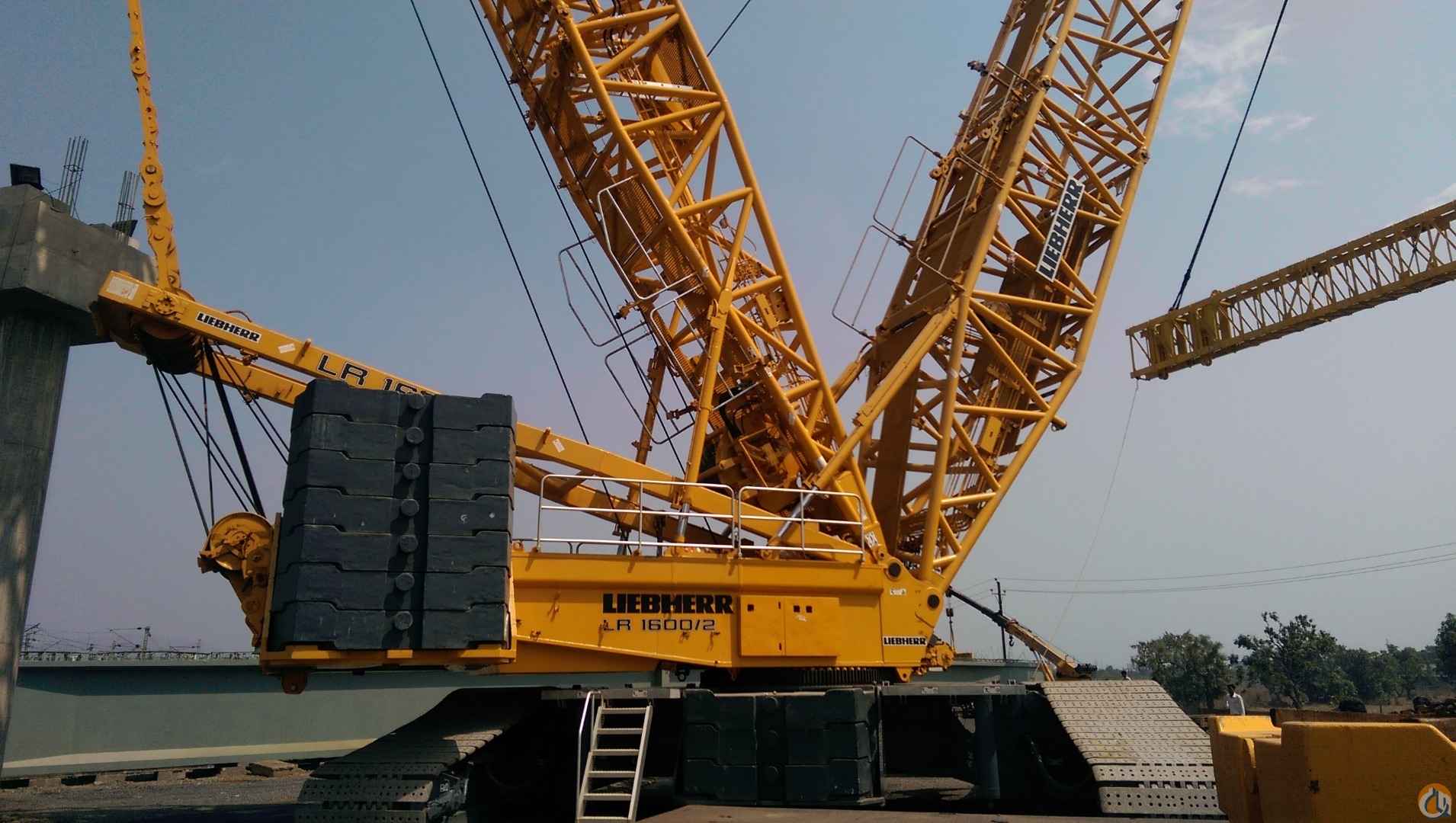 Crane Network