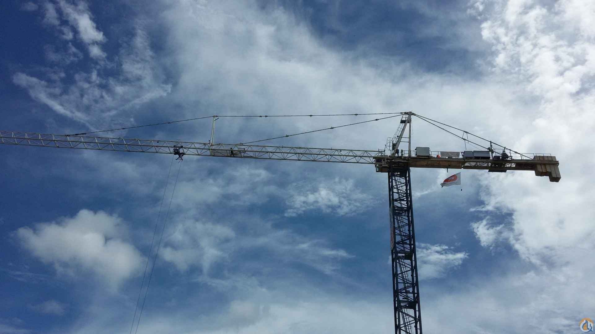 Crane Network